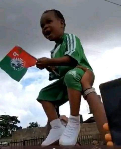 prudenceoflago3's tweet photo. Who Remembers baby chioma?
The poster baby of Asaba million march.
She met H.E Peter Obi today during Asaba LP rally.
Its Raining Miracles Already
Rufai Oseni. Warri. Delta State
Dino. Arewa Brekete
#TinubuInAdamawa
#AtikuGate #ObiDattiInAsaba #PeterObiInAsaba
#Obidatti023 https://t.co/j2ciVmFT1O