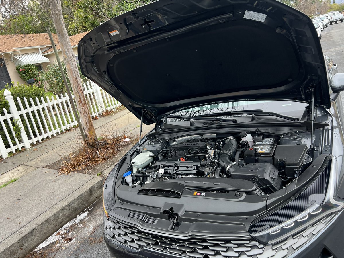 WDateiling's tweet image. 