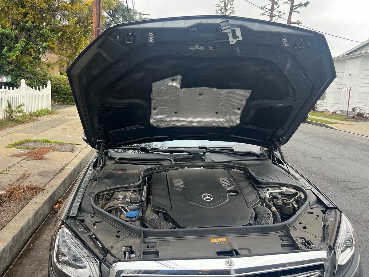 WDateiling's tweet image. 