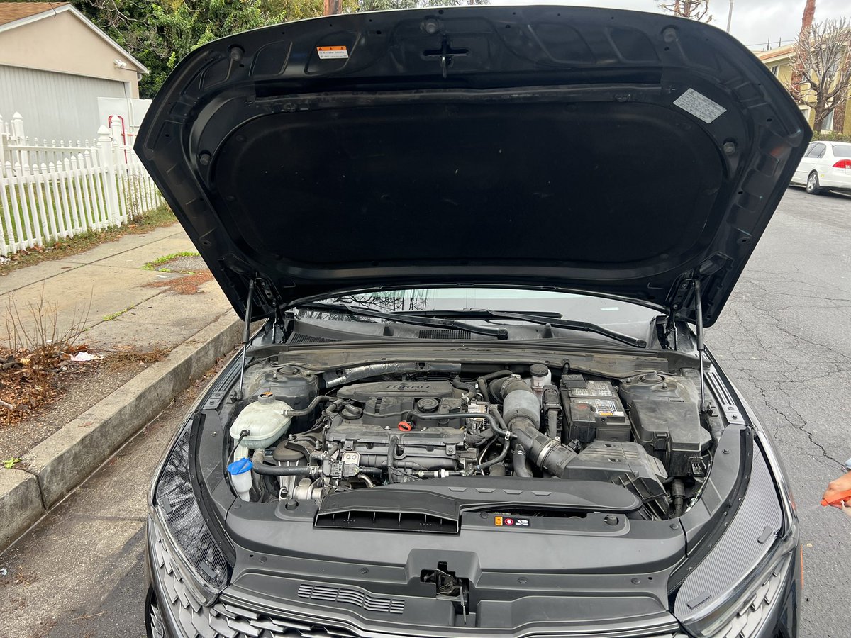 WDateiling's tweet image. 