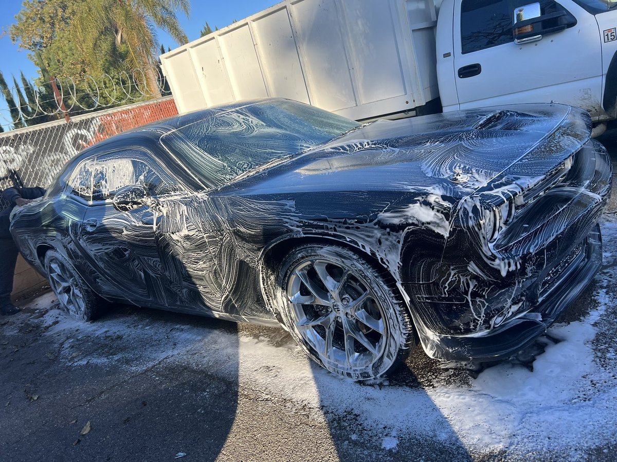 WDateiling's tweet image. Dateiling