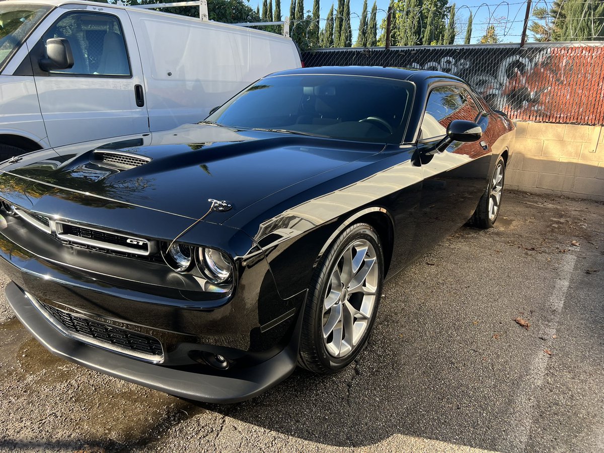 WDateiling's tweet image. Dateiling