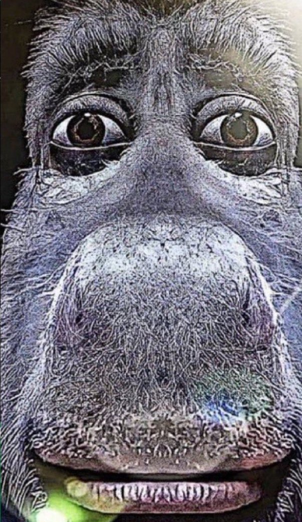 Miguelillo tweet media