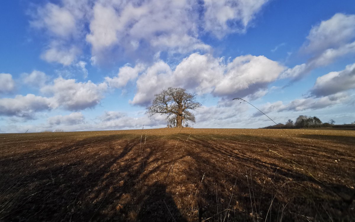 viesphotography's tweet photo. @LeeTayl33450204 @ShadyAdy42 Thank you Lee, I took this one too. It was a beautiful day for a walk. https://t.co/ttI9O4i72n