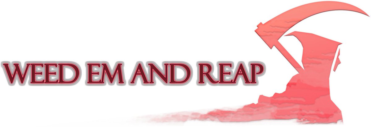 Noa Pallister tweet media