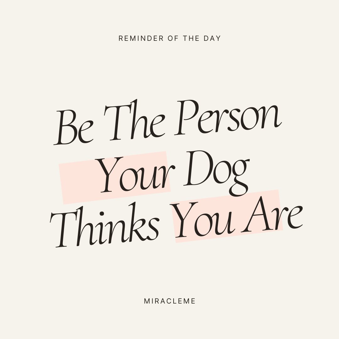 Always 🫶

#Reminder #MondayMotivation #Monday #mondaythoughts #dogsoftwitter #petsoftiktok #dogmum #furparent #fashionbloggers #ukbloggers #astrologypost