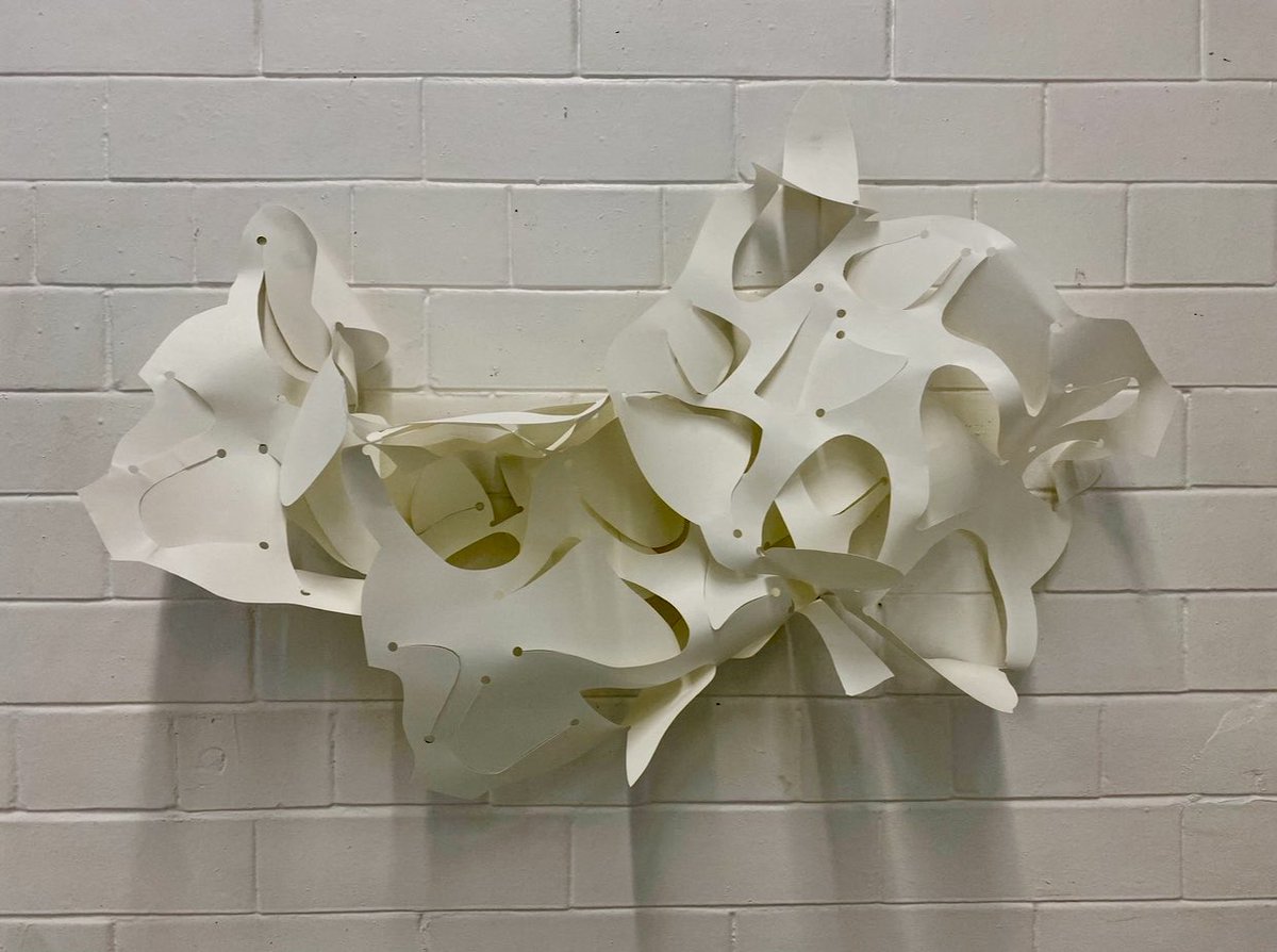 kellycumberland's tweet photo. Work in progress @UniversityLeeds #WIP #cutpaper
#expandeddrawing #drawing #studies #drawingpractice #installationart #drawinginspace #experimentaldrawing #contemporarydrawing #process #art #drawingresearch #practiceresearch #artandscience #leedsartist #research #PhD https://t.co/Bchc94MI8D