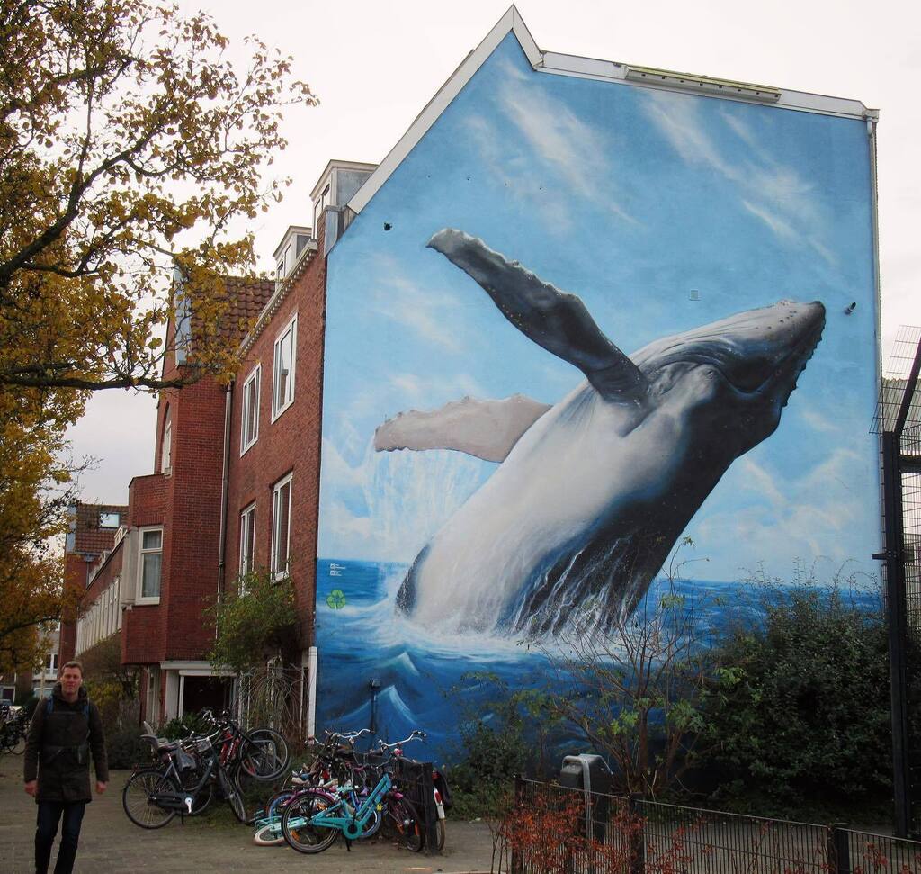 F_erre's tweet photo. There is something about a #whale on a wall ... #streetart by @timrodermans in #amsterdam
.
#timrodermans #iamsterdam #amsterdamstreetart #visitamsterdam #mural #streetartnetherlands #urbanart #graffitiart #artinthestreets #murals #muralart #streetartloโฆ https://t.co/Ijtah3mhnh https://t.co/pRJB8BBsXH