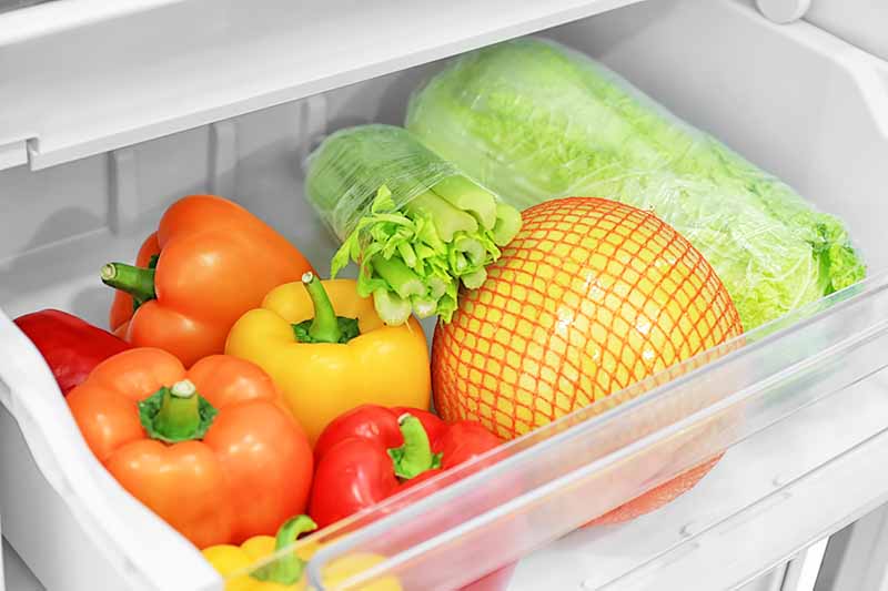 FoodalBlog's tweet image. Tired of wilted veggies? Learn How to Use Your Refrigerator’s Crisper Drawers! 🥦🥕🥒 &amp;gt;&amp;gt;&amp;gt; foodal.com/knowledge/how-… #fridgetips #foodstorage