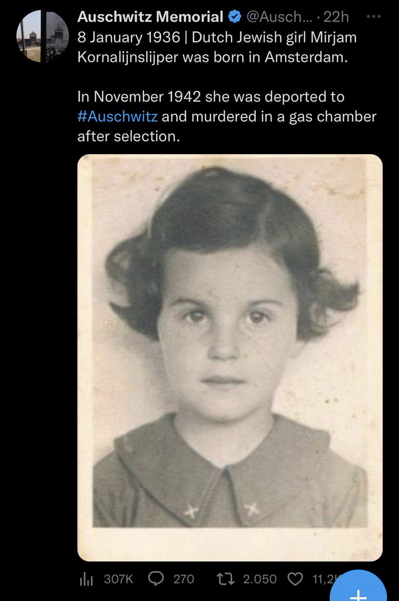 Alex_ohne_Zahl's tweet image. Bei #fckafd und #Querdeppen wird gern vom Schuldkult gesprochen über #morgenthau und #Hooton gejammert und gefordert,dass #Deutschland unbedingt Nationalstolz und Selbstbewusstsein braucht. Ein Land, das dafür verantwortlich ist,sollte vielleicht nichtmal ein Existenzrecht haben