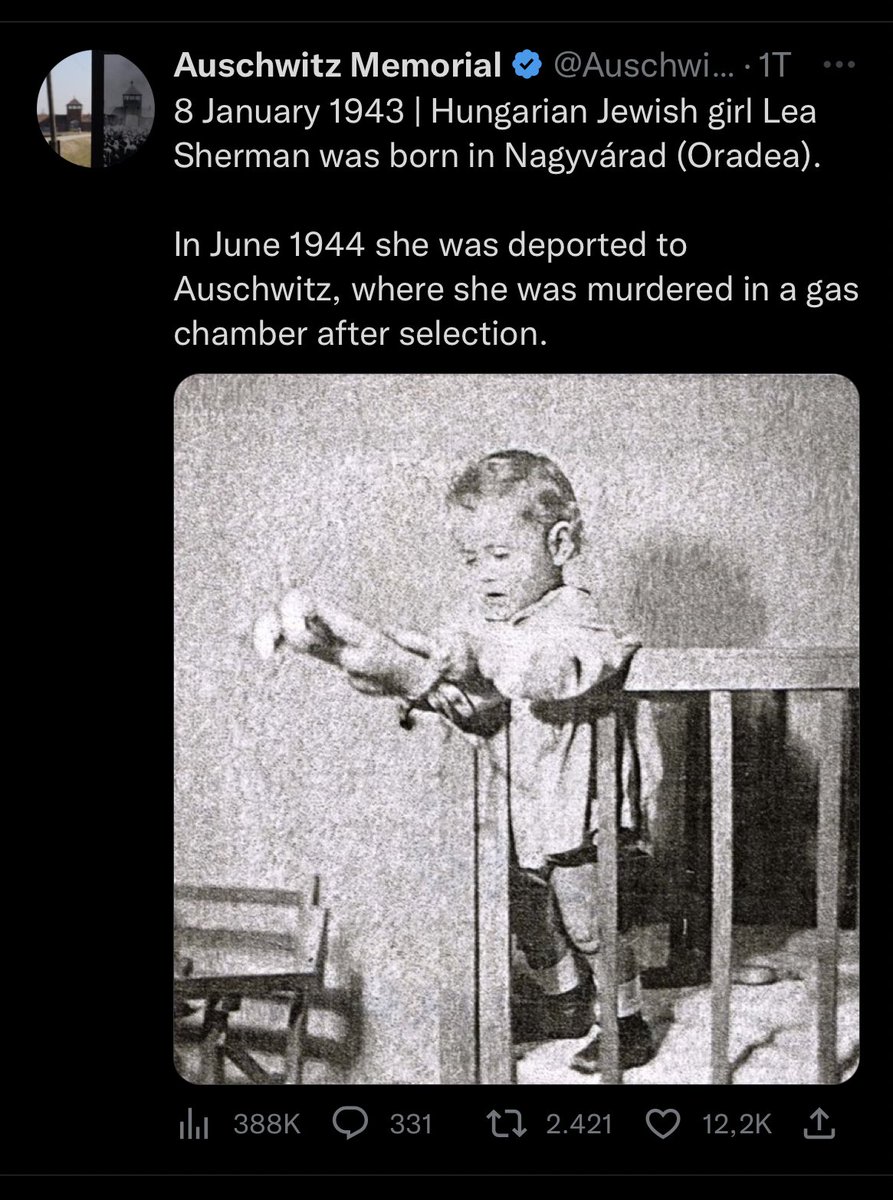 Alex_ohne_Zahl's tweet image. Bei #fckafd und #Querdeppen wird gern vom Schuldkult gesprochen über #morgenthau und #Hooton gejammert und gefordert,dass #Deutschland unbedingt Nationalstolz und Selbstbewusstsein braucht. Ein Land, das dafür verantwortlich ist,sollte vielleicht nichtmal ein Existenzrecht haben