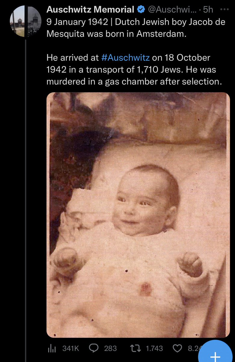 Alex_ohne_Zahl's tweet image. Bei #fckafd und #Querdeppen wird gern vom Schuldkult gesprochen über #morgenthau und #Hooton gejammert und gefordert,dass #Deutschland unbedingt Nationalstolz und Selbstbewusstsein braucht. Ein Land, das dafür verantwortlich ist,sollte vielleicht nichtmal ein Existenzrecht haben