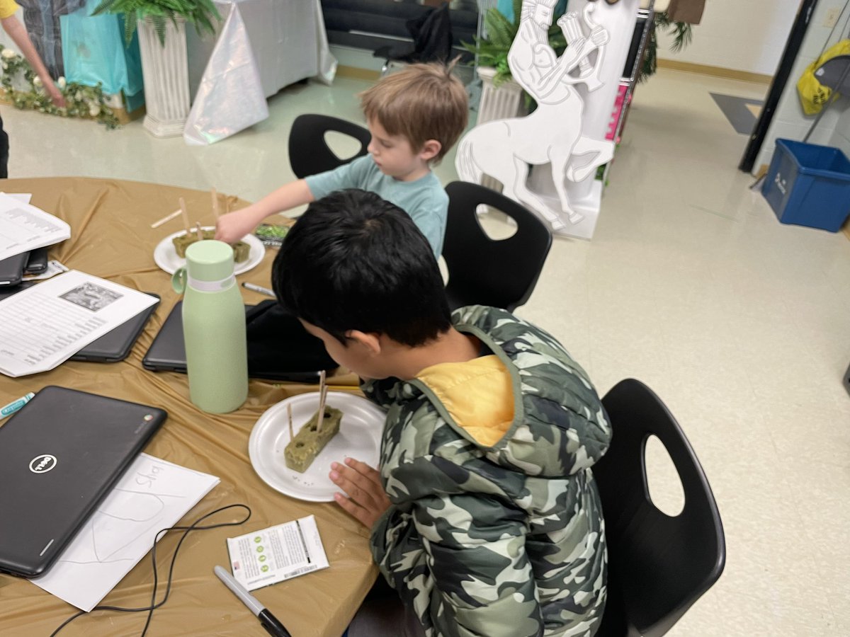 Camille Webb tweet media