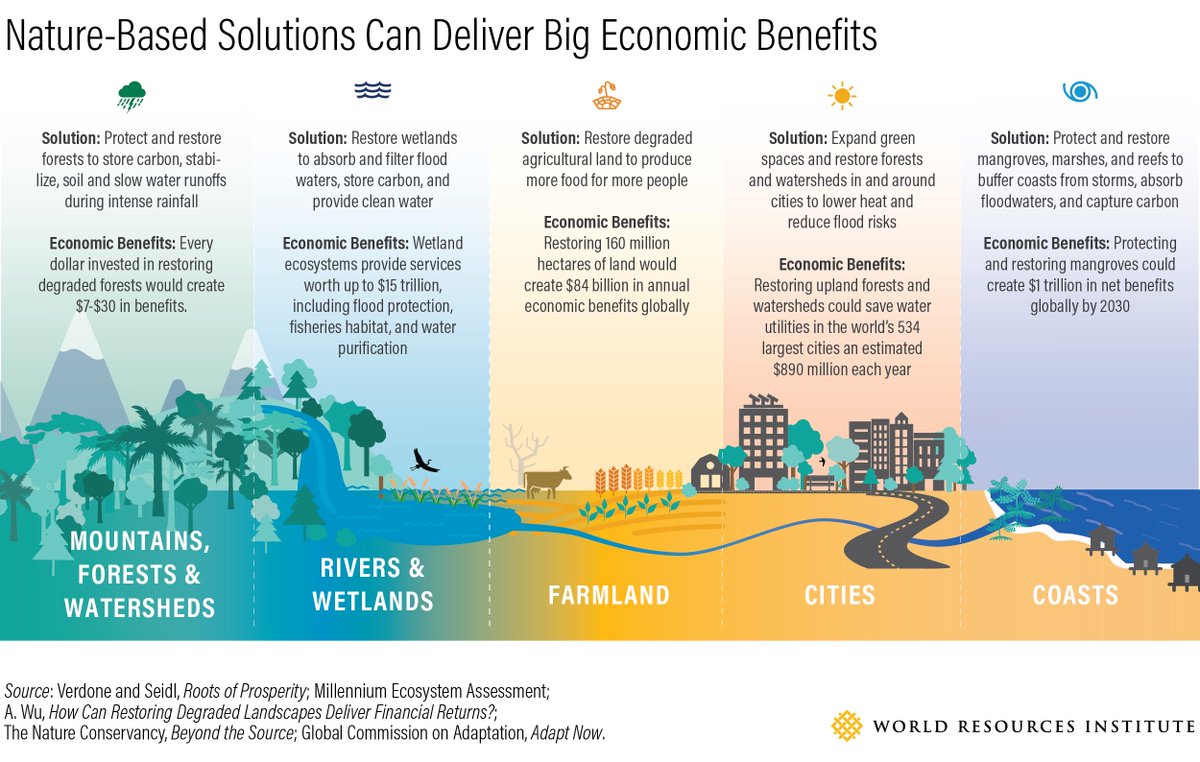 UNBiodiversity's tweet photo. As countries look to recover from #COVID19, @worldresources spotlights solutions that hold benefits #ForNature and for people. 

"#NatureBasedSolutions are a smart investment now more than ever."

Learn more ⬇️
https://t.co/k7EIwmxD1z 

#GreenRecovery #BuildBackBetter https://t.co/eVkweCVa7V
