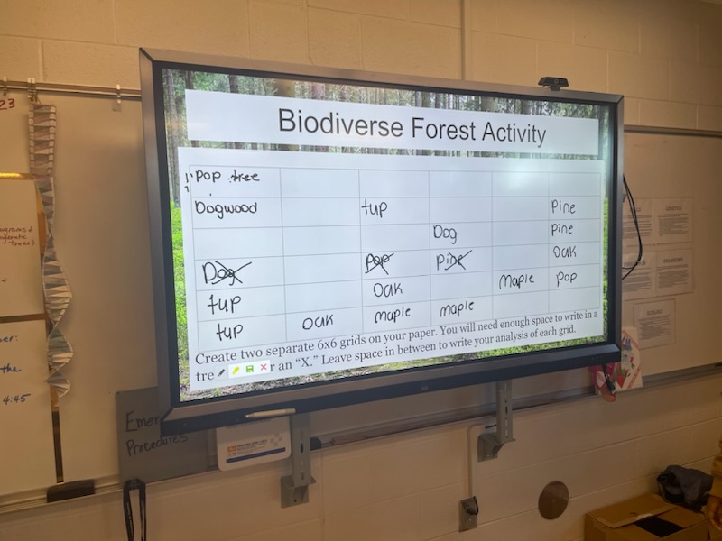Biodiverse Forest Game adapted from "Last Chance Endeavors: Wildlife Education" 
ESA 9th grade Bio. Ms. L. Smith 
This game demonstrates relationships between biodiverse organisms &amp; invasive species. Shows how biodiversity helps an ecosystem survive in challenging circumstances.