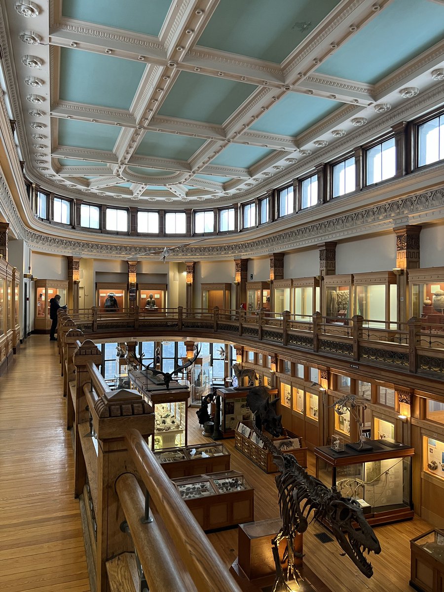 mcgillu's tweet photo. After three years, the @RedpathMuseum finally re-opens its door tomorrow (Jan 10)! We got an exclusive look inside, ahead of the big re-opening: https://t.co/AuNygzo7hv