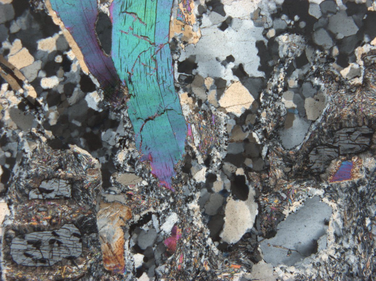 Simon Schorn tweet media