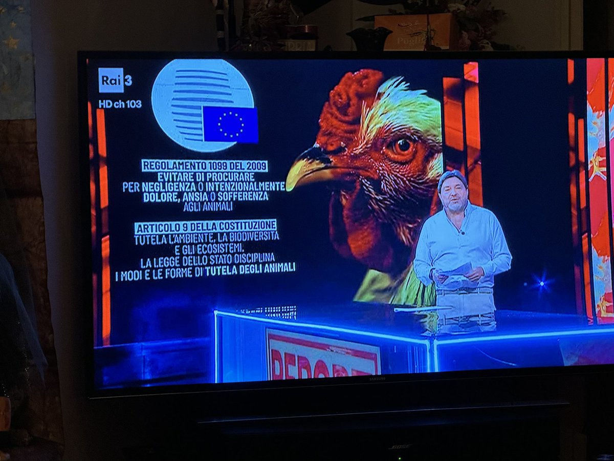 Gianluca Felicetti tweet media