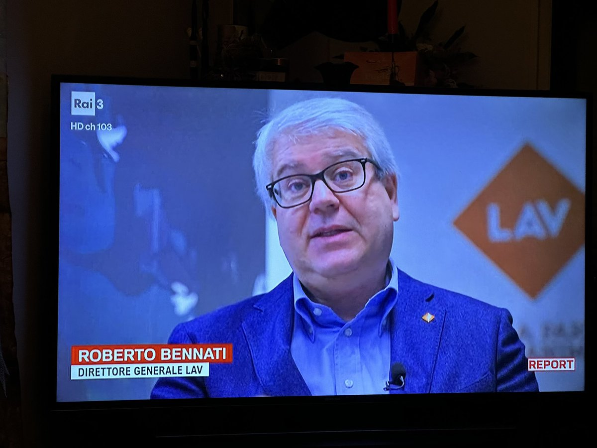 Gianluca Felicetti tweet media