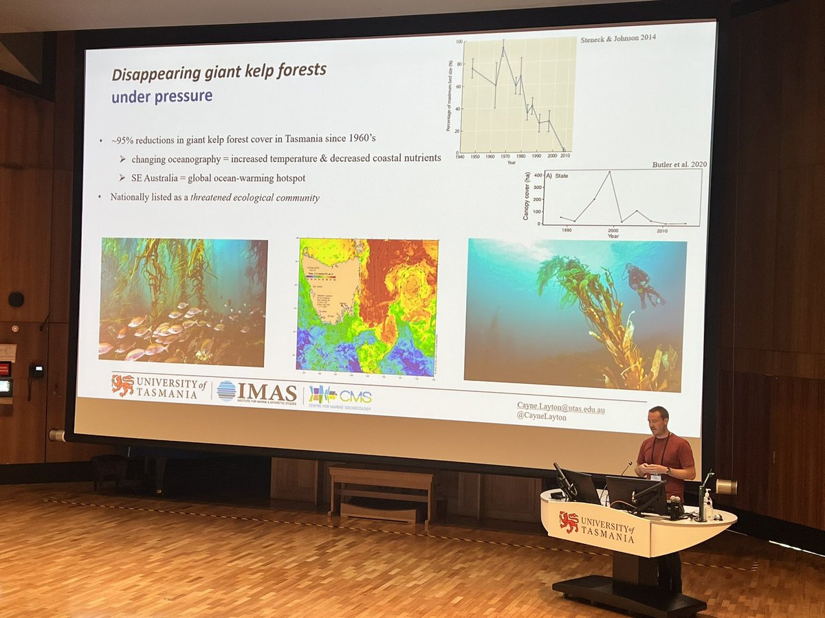 paulimim's tweet photo. Amazing talk about Tasmanian temperate reefs by @CayneLayton at #ITRS2023 #IMASUTAS https://t.co/ONb62ONm68