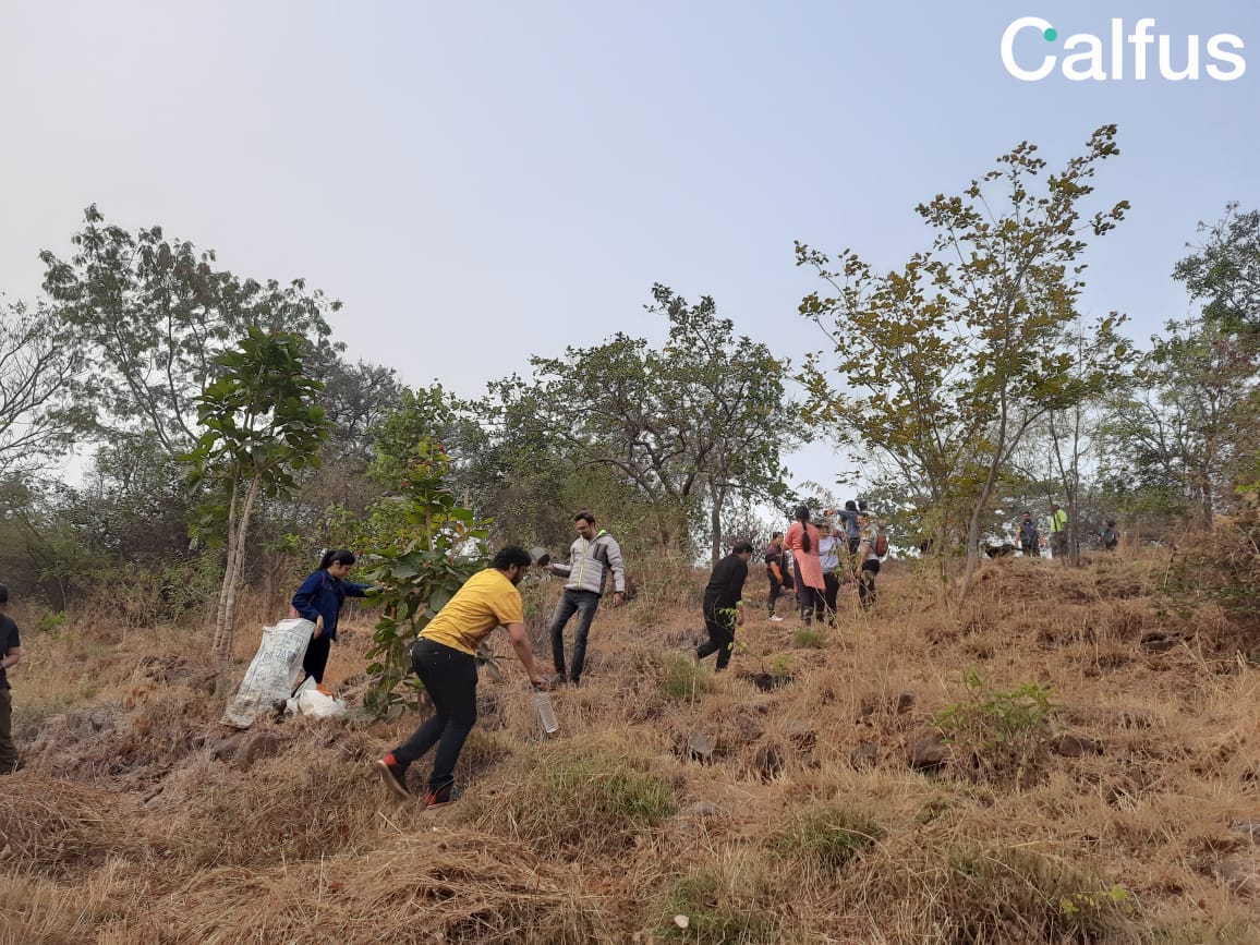 CalfusInc tweet media