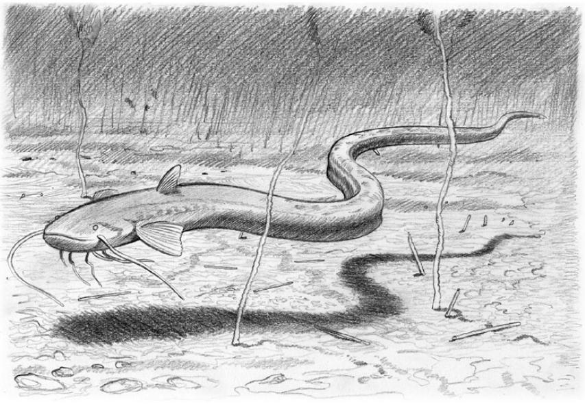 Legendary Cryptids on Twitter: