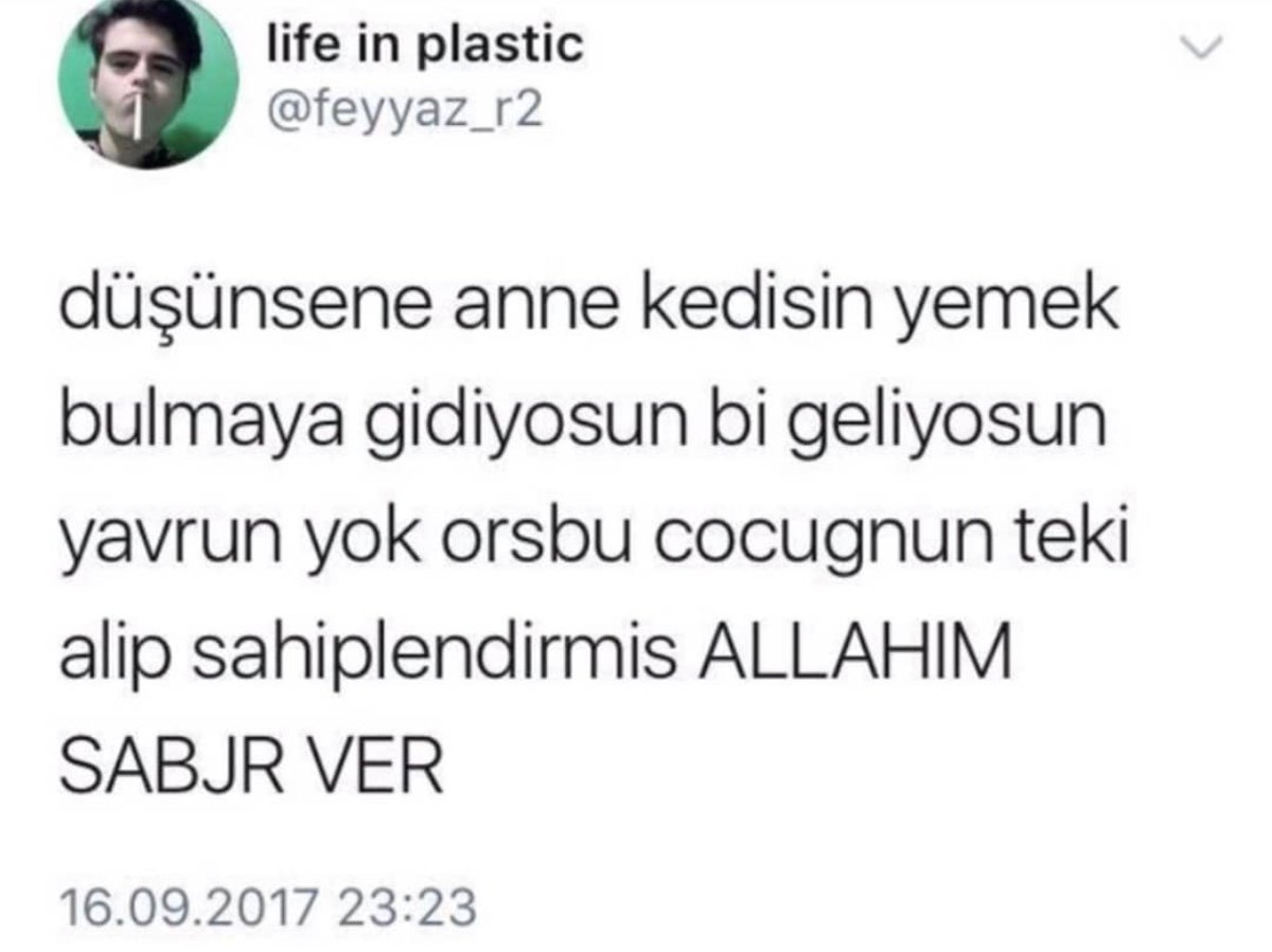 Alnı Öpülesi Tivitler tweet media