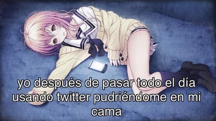Meh tweet media