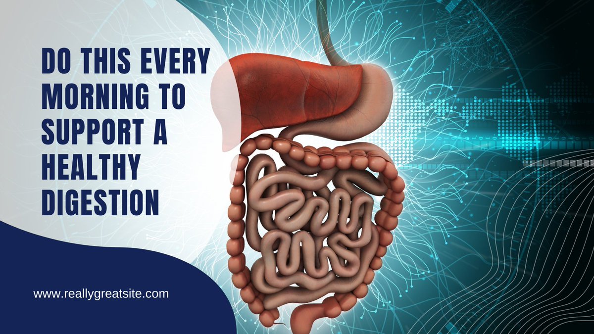 AlbertoHimmel's tweet photo. #SynoGut mixes powerful synbiotics & a rare type of bentonite clay that fight threatening germs & profoundly clean your intestines, while repairing the gut lining & feeding the good #bacteria in your stomach for a perfect #digestion.
👉https://t.co/OWRCPhO3TI
#guthealth #Health https://t.co/1fHBewtTbG