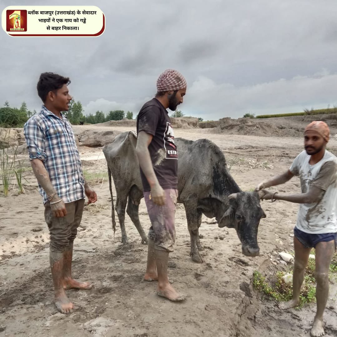PahujaRinki's tweet photo. We all are busy in our own Life. No one have time in today's time for anyone. But we all knows, Saint Gurmeet Ram Rahim Ji is our true Care Taker of all. He has started an initiative named #AnimalAid for the taking care animals, so that they can also survive easily 😇 https://t.co/eSX9NFZUqR