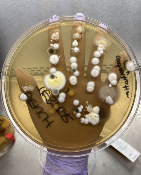 Health Science Inquiry tweet media