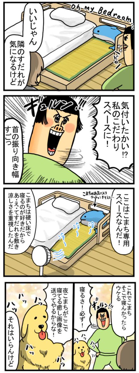 まめきちまめこ Mamekichirou Twitter