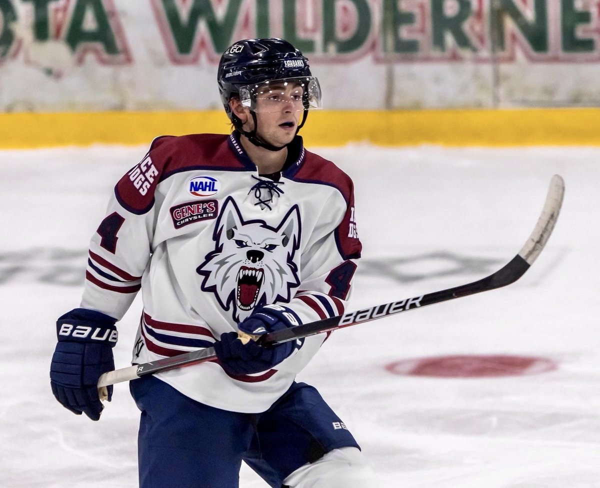 Fairbanks Ice Dogs tweet media