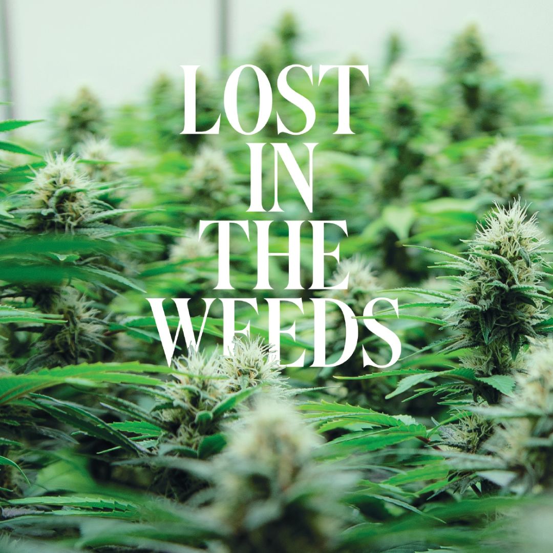 North & South Magazine tweet media