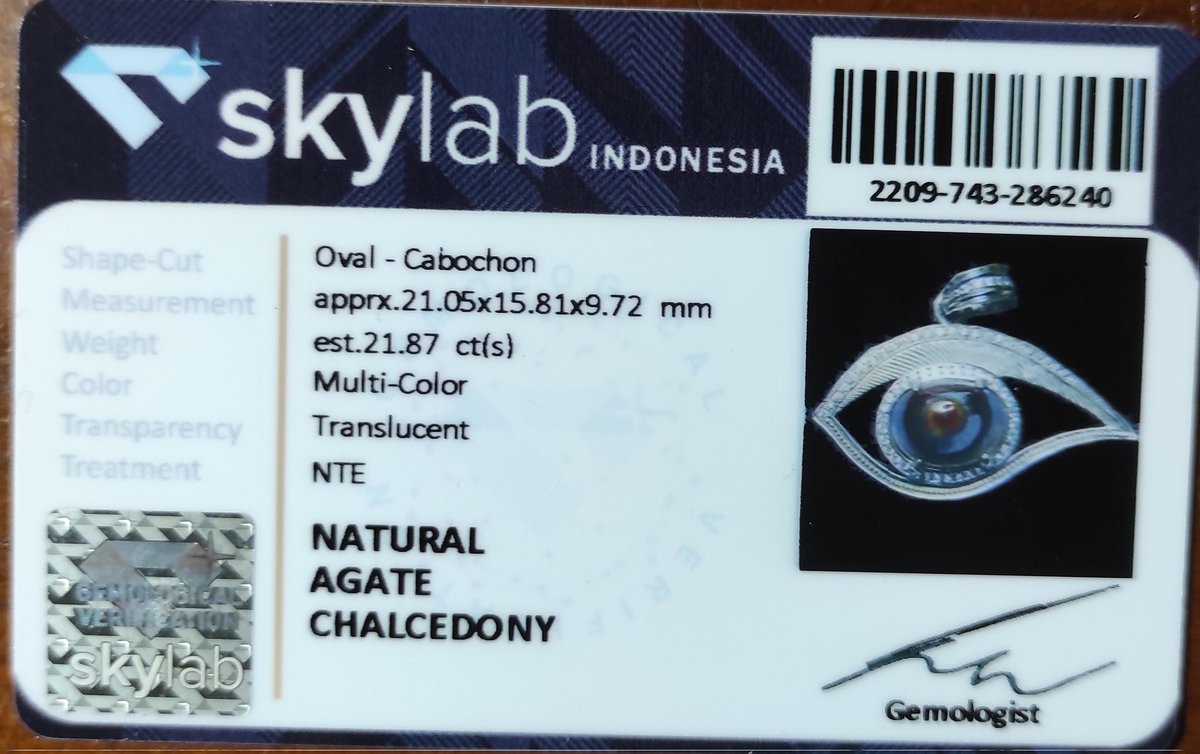 h_setiobudi's tweet photo. Natural Picture Agate ( Chalcedony ) with Motiv: Eye . Certificate n For Sale. https://t.co/MAiWTLxlS8