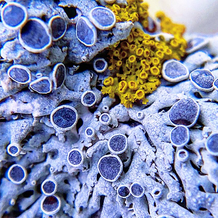 Meg Madden tweet media