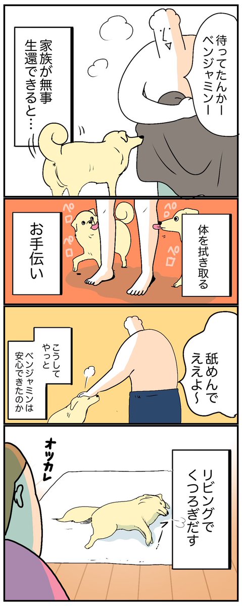 みまもってくれる犬🐕

https://t.co/SHuWJugVcN 