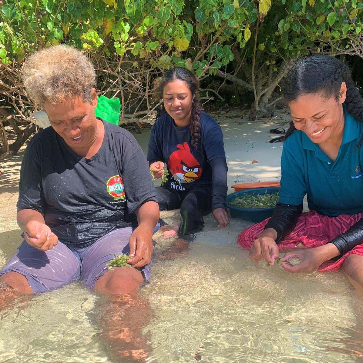 Localised environmental challenges require localised solutions. And some of the most workable solutions lie with the first-hand users of resources and custodians of Indigenous local knowledge (ILK) – the fisherwomen. 
#PEUMP #GenderEquality #Environment #CoastalFisheries