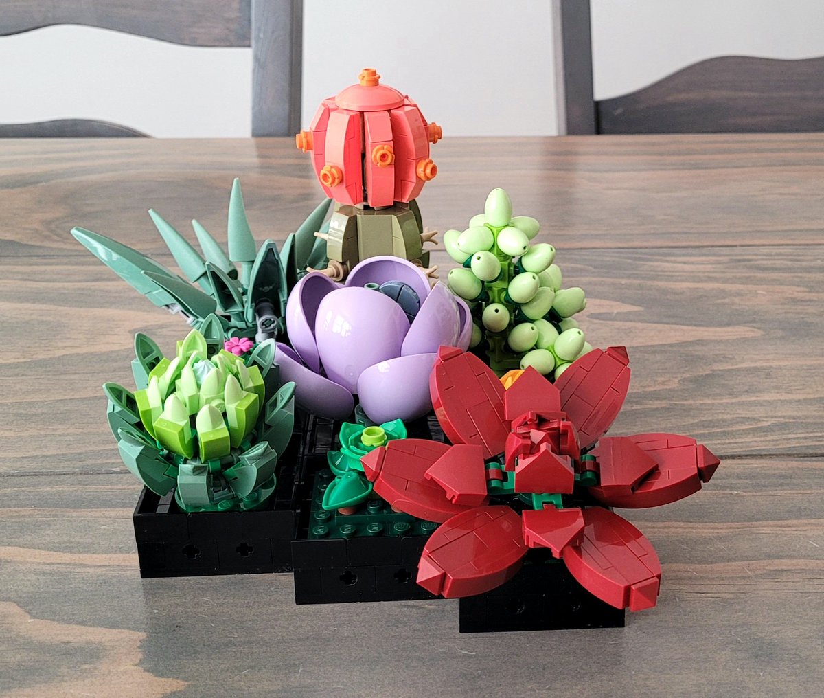 blondieepanda's tweet photo. What I have been up to the last few days. Built a Lego Orchid for my accent table and a Lego Succulent for my dining table and added a few other things with it because of how small it is. I am in love 😍. Will be adding a Lego bonzai tree soon! https://t.co/kjqAln5iAr