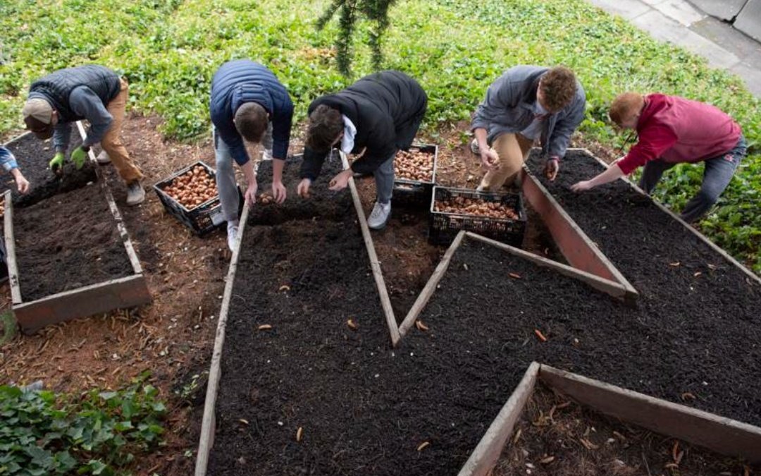 lisahawkfan's tweet photo. Friends of #EthanChapin plant Tulip bulbs to honor his legacy.  There are gardens w/ the mixture of yellow and white tulips that they now call "Ethan's Smile," at Tulip Valley Farms (where Ethan worked) as well as Chapin's elementary school. 

There are many reasons they  1/3 https://t.co/SqmPumjBbY