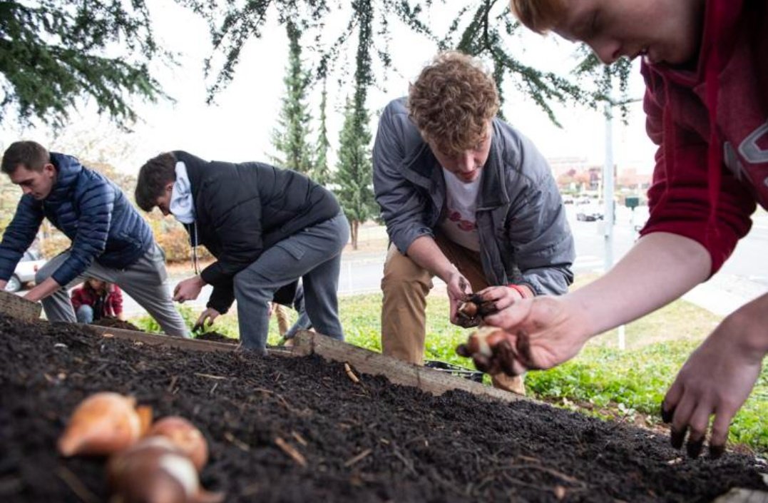 lisahawkfan's tweet photo. Friends of #EthanChapin plant Tulip bulbs to honor his legacy.  There are gardens w/ the mixture of yellow and white tulips that they now call "Ethan's Smile," at Tulip Valley Farms (where Ethan worked) as well as Chapin's elementary school. 

There are many reasons they  1/3 https://t.co/SqmPumjBbY
