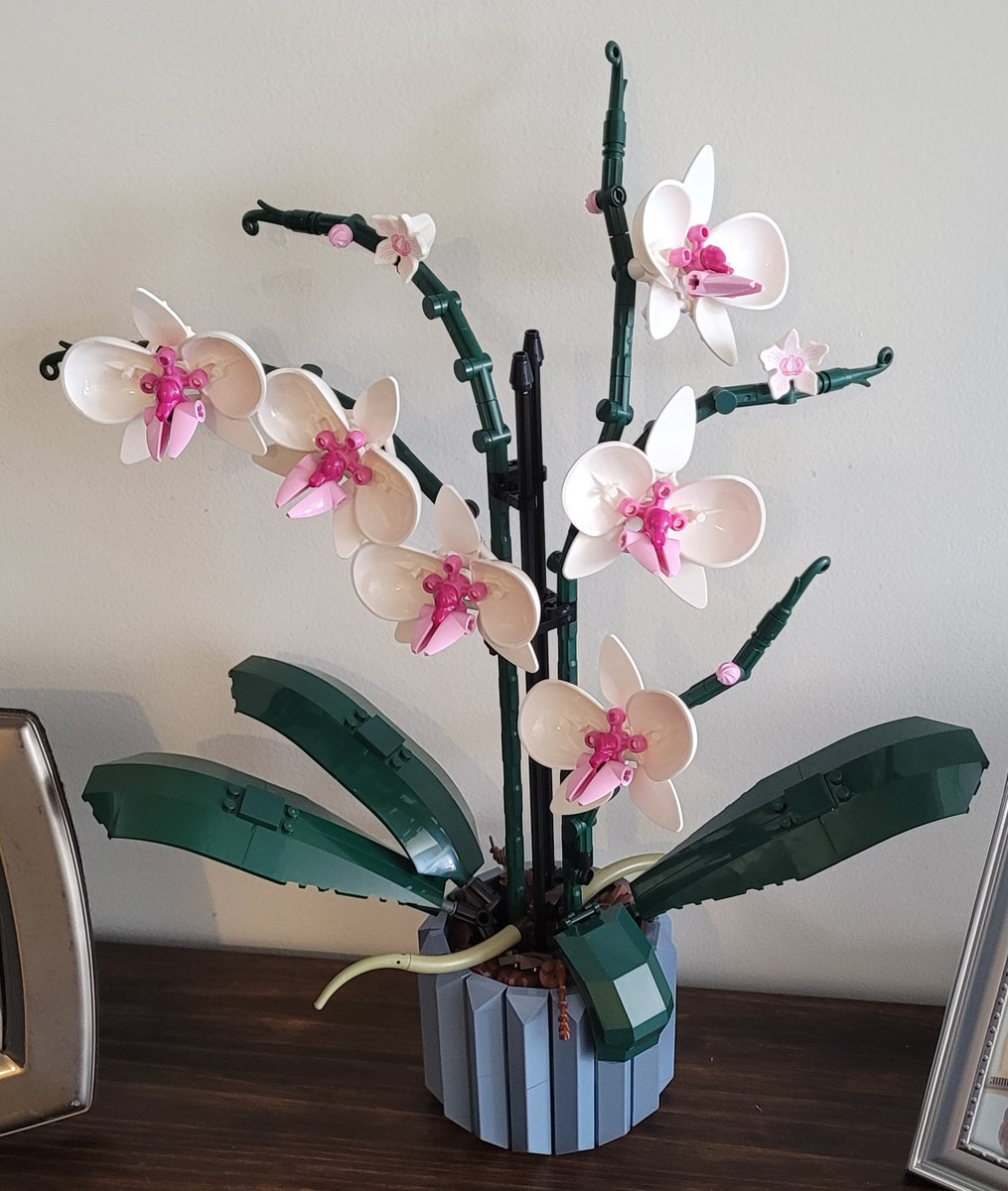 blondieepanda's tweet photo. What I have been up to the last few days. Built a Lego Orchid for my accent table and a Lego Succulent for my dining table and added a few other things with it because of how small it is. I am in love 😍. Will be adding a Lego bonzai tree soon! https://t.co/kjqAln5iAr