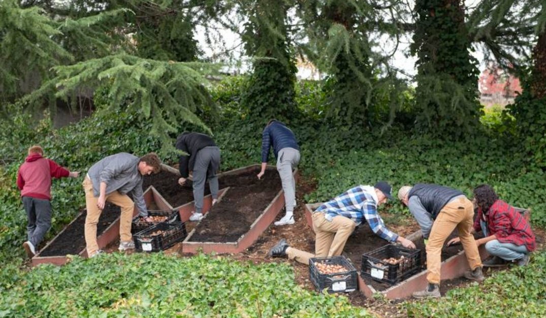 lisahawkfan's tweet photo. Friends of #EthanChapin plant Tulip bulbs to honor his legacy.  There are gardens w/ the mixture of yellow and white tulips that they now call "Ethan's Smile," at Tulip Valley Farms (where Ethan worked) as well as Chapin's elementary school. 

There are many reasons they  1/3 https://t.co/SqmPumjBbY