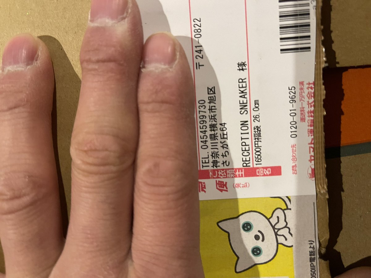 Jun1Do's tweet photo. 話題の福袋
私のはこちらでした!
個人的には買おうか迷ってたのだし、定価で買って送料かかったと思えばいいのですが・・
たぶんお店には行かないし、今後動画も見ないかなぁ😅
@NANTRATV1
#首ニキを救いたい
#スニーカー福袋
#NANTRATV
#reception
#receptionsnkr https://t.co/cQaX5lTKE4