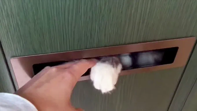 配達員さんに迷惑を掛ける猫さん。郵便受けを開けると、次から次へと可愛い肉球攻撃が ( *'艸`)  より 