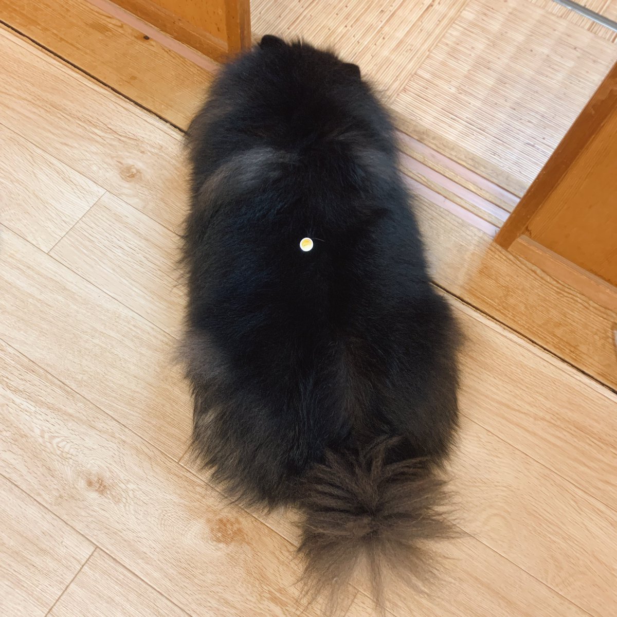 おはようさんさん☀️
なんかシール付いてる🙄