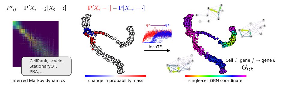 Dynamical information enables inference of gene regulation at single-cell scale
New preprint with <a href="/theosysbio/">Michael P.H. Stumpf</a>!

biorxiv.org/content/10.110…

tl;dr: estimates of cell dynamics (e.g. RNA velocity, optimal transport) can infer local, cell-specific GRNs (1/4)