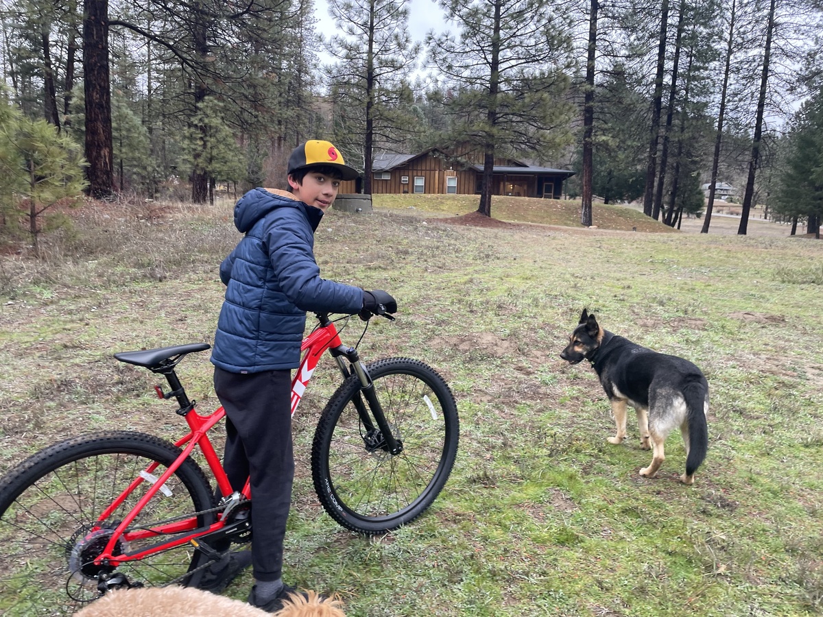 STOLEN - Red Trek Marlin 5 in South Berkeley bikeindex.org/bikes/1453312