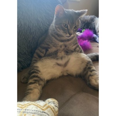 drewski_111's tweet photo. #NewProfilePic https://t.co/K92w3yXwjm
