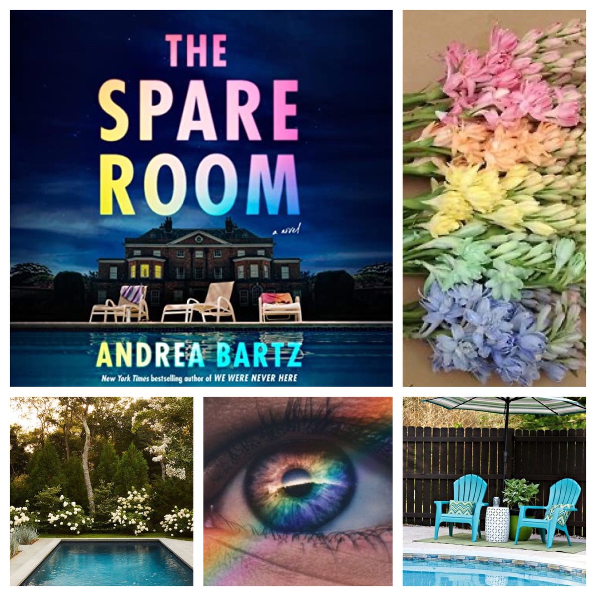 #AndreaBartz ‘s next book after #WeWereNeverHere (a #ReesesBookClub selection) is #TheSpareRoom, coming in June from #RandomHouse #Ballantine ! #NetGalley #BookTwitter